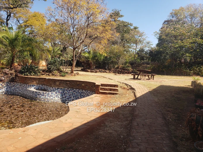 Solid Family House available for letting   