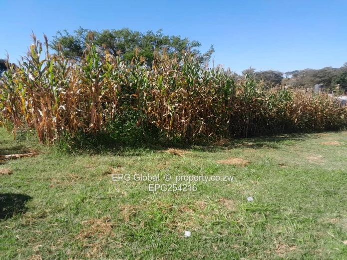Solid compact clean cottage  available for letting  