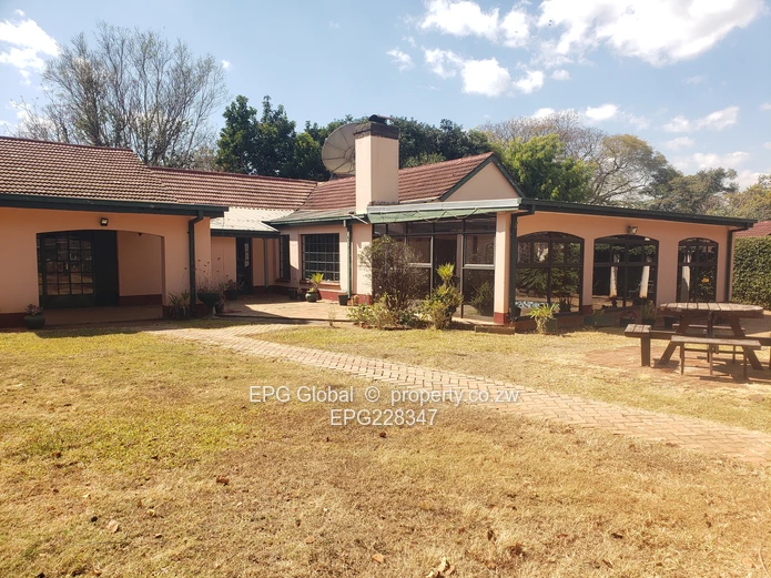 Solid Family House available for letting   