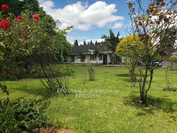 Solid Family house available for letting  